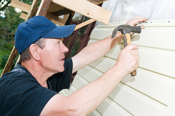 Best Custom Trim and Detailing for Siding  in Rice Lake, WI