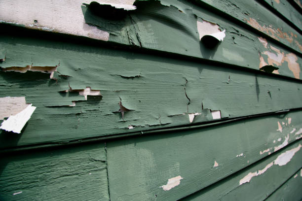 Best Engineered Wood Siding  in Rice Lake, WI