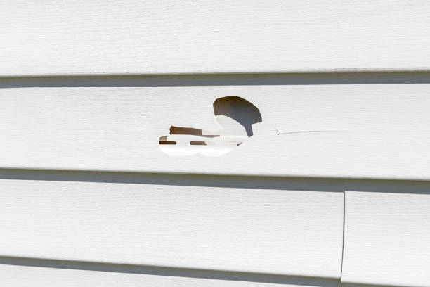 Best Stucco Siding  in Rice Lake, WI