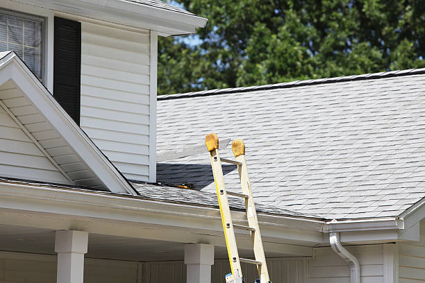 Best Siding Painting and Refinishing  in Rice Lake, WI