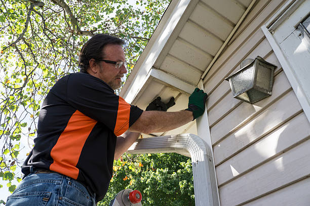 Affordable siding repair and maintenance services in Rice Lake, WI